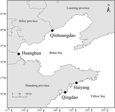 Inbreeding evaluation using microsatellite confirmed inbreeding depression in growth in the Fenneropenaeus chinensis natural population